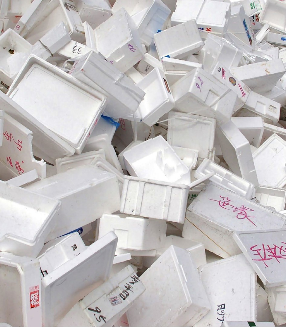 imagen colaboradores